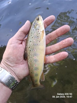 20260606_104742.jpg