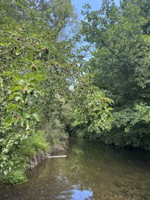 IMG_6368.jpeg