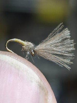 IMG_20260719_201342.jpg