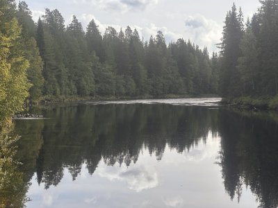 IMG_9514.jpg