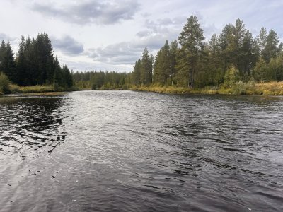 IMG_9534.jpg