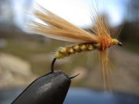pletenaum9[1].jpg