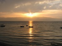 IMG_0488.jpg