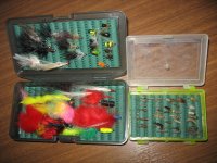 IMG_0357a.jpg