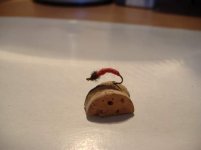 larva komarca.JPG