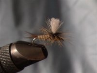 Rhodani parasut (Small).jpg