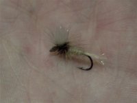 vranac bwo (Small).jpg