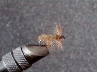 X materijal caddis olive.jpg
