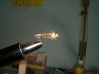 CIMG3575.jpg