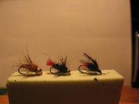 IMG_7105 (Medium).jpg