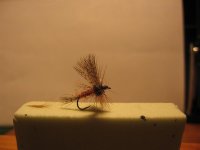 IMG_7114 (Medium).jpg
