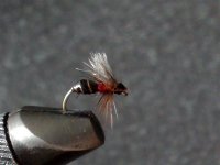 Korak 7 (Medium).jpg