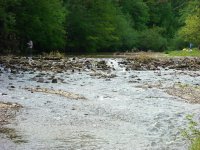 IMG_0008.jpg