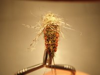 Picture 9509702521_resize.jpg