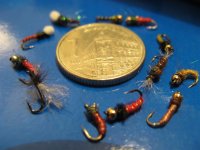 midge 004 (Large).jpg