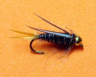 indigo plavi princ.jpg