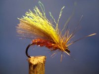 bordo-antron caddis.jpg