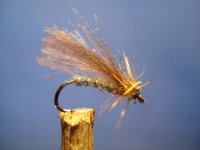 blue caddis.jpg