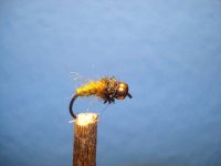 m nymph 4.jpg
