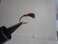 flies 021 (Medium).jpg
