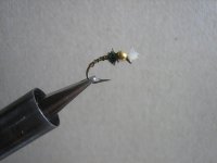 flies 025 (Medium).jpg