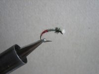 flies 027 (Medium).jpg