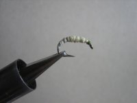 flies 028 (Medium).jpg