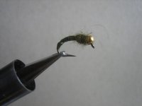 flies 029 (Medium).jpg
