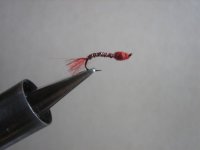 flies 030 (Medium).jpg