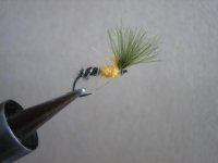 flies 033 (Medium).jpg