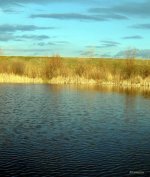 Stillwater Paradise.jpg