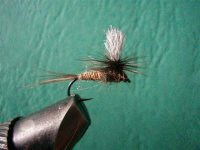 golden tan parachute (Small).jpg