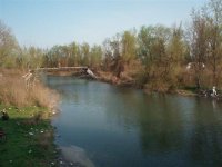 Galovica (Small).JPG