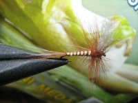Large Brook Spinner.jpg