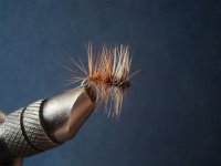 palmer style caddis (Small).jpg