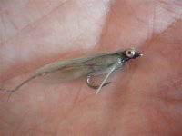 cdc streamer (Small).jpg