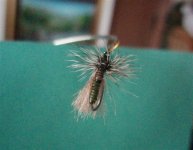 imitacija grannoma 2 (Small).jpg