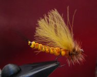 MAYFLY 002.jpg