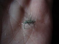 ice dubb palmer (Small).jpg