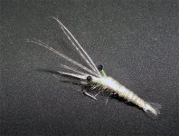 pescana kozica.jpg