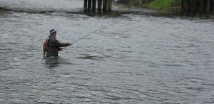 IMG_1539.jpg