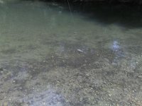 i danas (Small).jpg