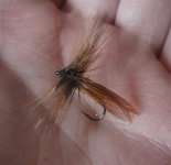 wonderwing (Small).jpg