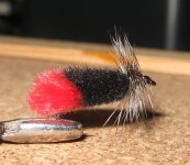Zacoola's Chub Kalcha (Hot but).jpg