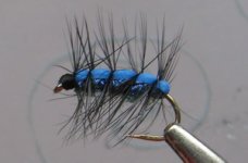 blue f palmer.jpg
