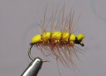 yellow f palmer.jpg