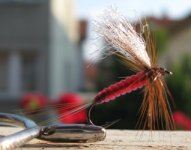 Diving Red Spinner.JPG