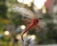 Oce pliva - nece pliva spinner.JPG