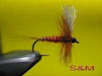 IMG_0025.jpg