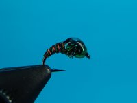 DSC05750.JPG